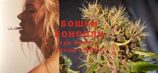 ешки Новозыбков