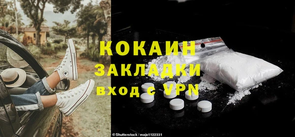 ешки Новозыбков