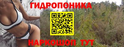 ПСИЛОЦИБИНОВЫЕ ГРИБЫ Донецк
