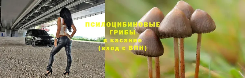 даркнет сайт  Клин  Галлюциногенные грибы MAGIC MUSHROOMS 