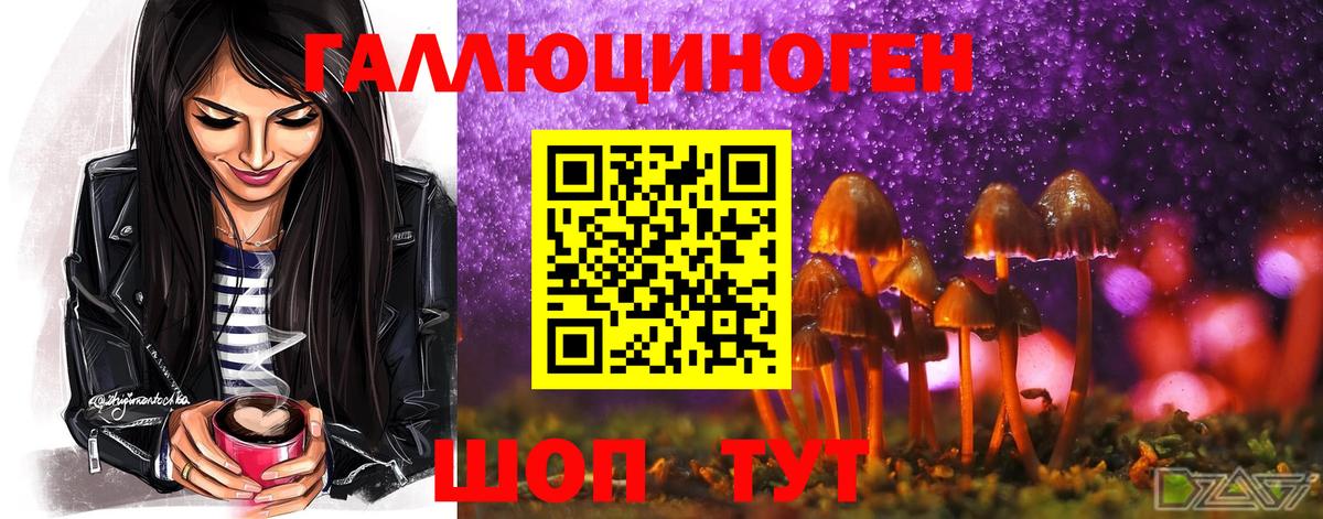 Галлюциногенные грибы Magic Shrooms  Псилоцибиновые грибы Psilocybe  Клин 