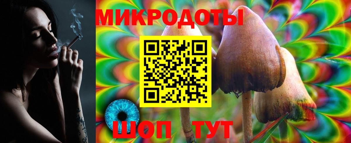 Псилоцибиновые грибы мицелий Клин