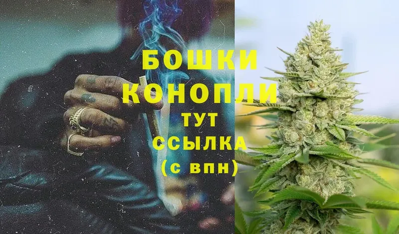 Бошки Шишки THC 21%  Клин 